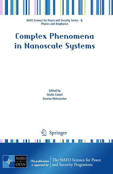 Produktbild: Complex Phenomena in Nanoscale Systems