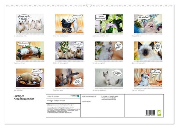 Produktbild: Lustiger Katzenkalender (Wandkalender 2026 DIN A2 quer), CALVENDO Monatskalender