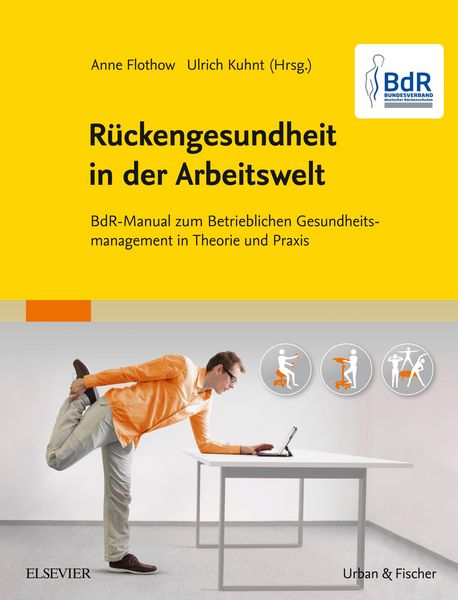 Produktbild: BdR-Manual R&uuml;ckengesundheit in der Arbeitswelt