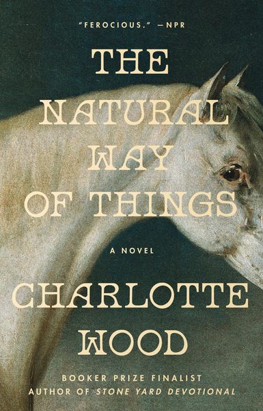 Produktbild: The Natural Way of Things