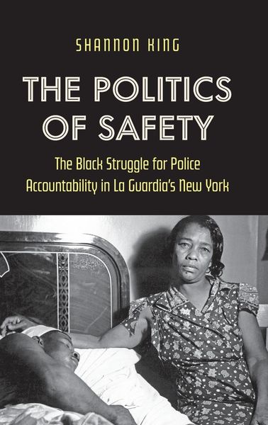 Produktbild: The Politics of Safety