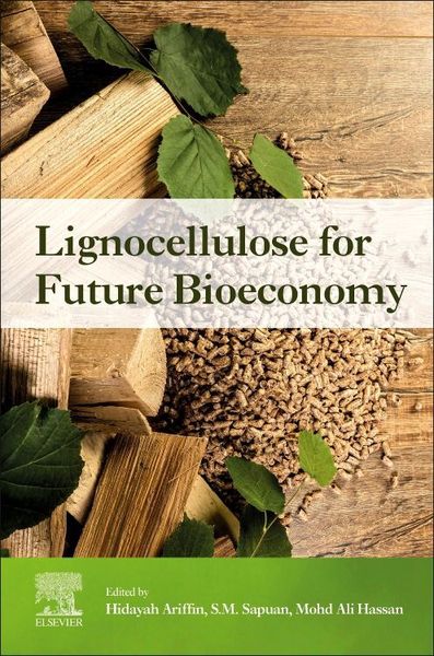 Produktbild: Ariffin, H: Lignocellulose for Future Bioeconomy