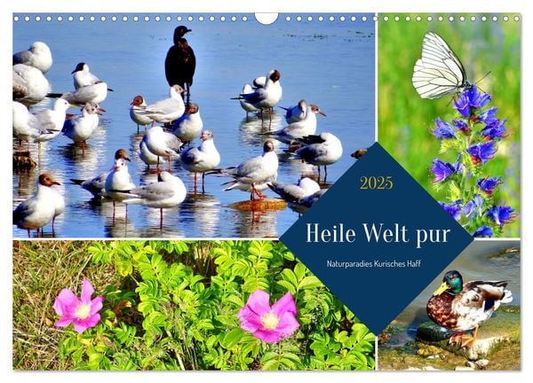 Heile Welt pur - Naturparadies Kurisches Haff (Wandkalender 2025 DIN A3 quer), CALVENDO Monatskalender