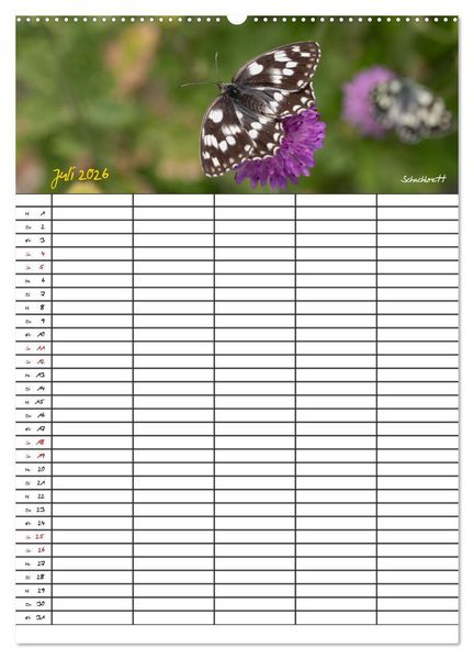 Produktbild: Schmetterlinge in Bayern (Wandkalender 2026 DIN A2 hoch), CALVENDO Monatskalender