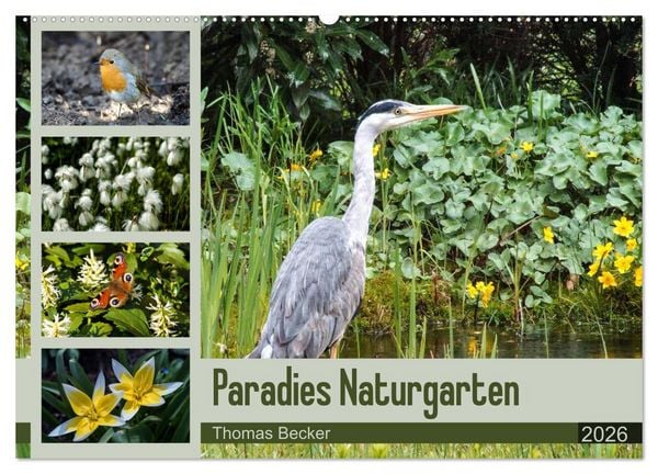 Paradies Naturgarten (Wandkalender 2026 DIN A2 quer), CALVENDO Monatskalender