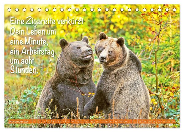 Produktbild: Spa&szlig; mit B&auml;ren: Edition lustige Tiere (Tischkalender 2026 DIN A5 quer), CALVENDO Monatskalender