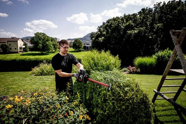Produktbild: Metabo HS 18 LTX 55 Akku Heckenschere ohne Akku 18V