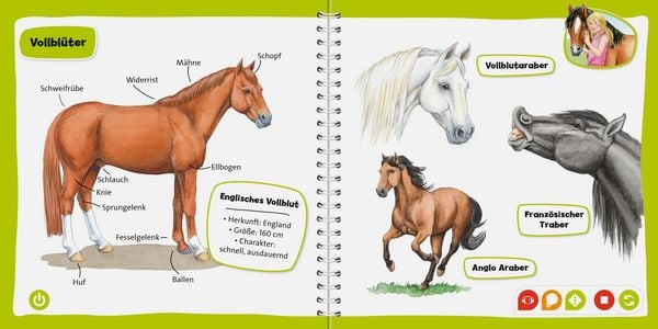 Produktbild: tiptoi&reg; Pferde und Ponys