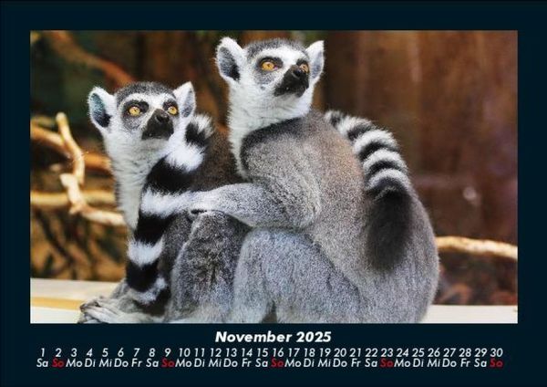 Produktbild: Welt der Tiere 2025 Fotokalender DIN A5