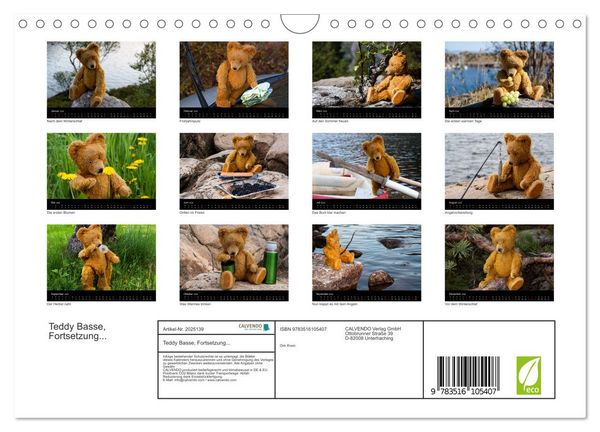 Produktbild: Teddy Basse, Fortsetzung... (Wandkalender 2026 DIN A4 quer), CALVENDO Monatskalender