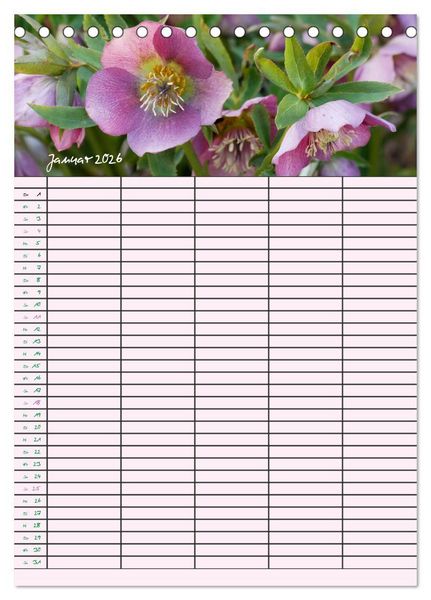 Produktbild: Kleine Natursch&ouml;nheiten (Tischkalender 2026 DIN A5 hoch), CALVENDO Monatskalender