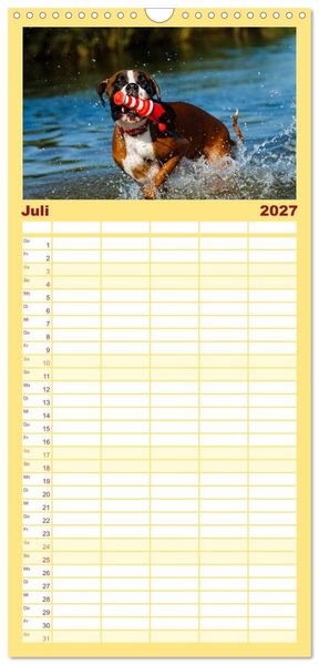 Produktbild: Familienplaner 2027 - Deutscher Boxer 2027 mit 5 Spalten (Wandkalender, 21 x 45 cm) CALVENDO