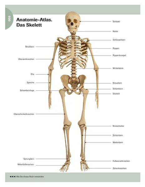 Produktbild: Stretching f&uuml;r Senioren