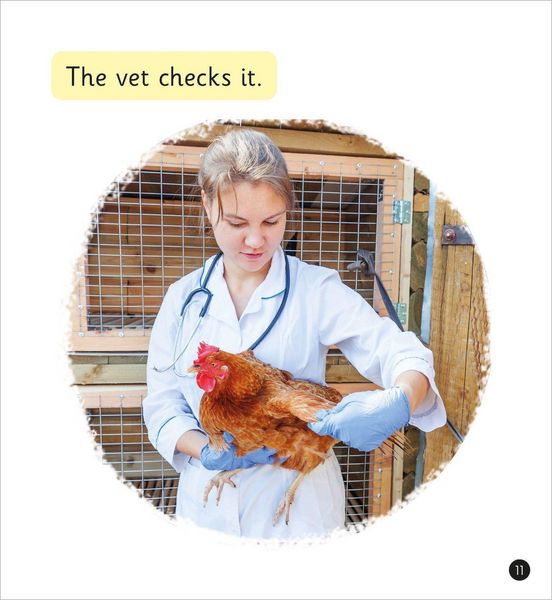 Produktbild: The Job of a Vet (Set 4)