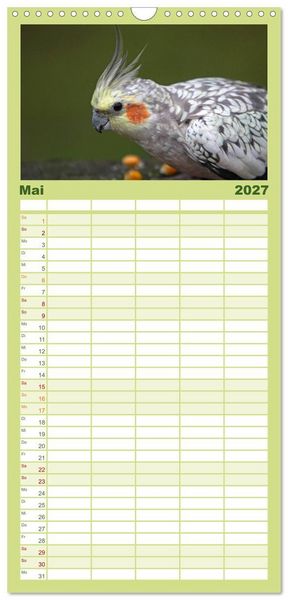 Produktbild: Familienplaner 2027 - Nymphensittiche mit 5 Spalten (Wandkalender, 21 x 45 cm) CALVENDO