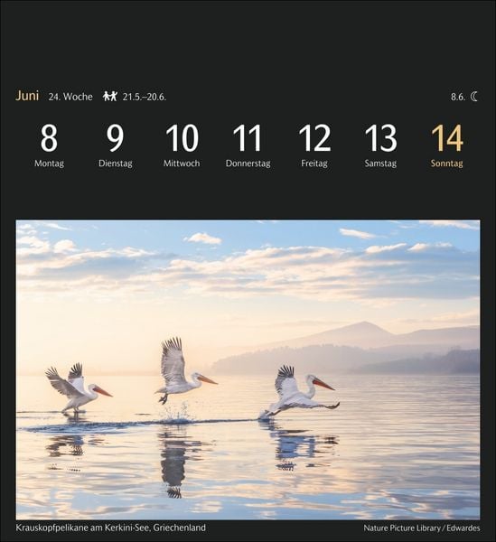 Produktbild: Magic Nature Postkartenkalender Kalender 2026 - Kalender mit 53 Postkarten