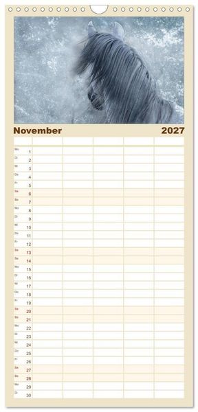 Produktbild: Familienplaner 2027 - Pferde zum Tr&auml;umen mit 5 Spalten (Wandkalender, 21 x 45 cm) CALVENDO