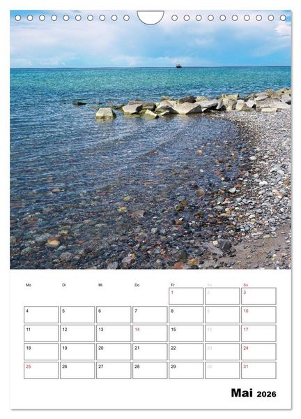 Produktbild: R&uuml;gen und Hiddensee - Bilder eines Sommers / Planer (Wandkalender 2026 DIN A4 hoch), CALVENDO Monatskalender
