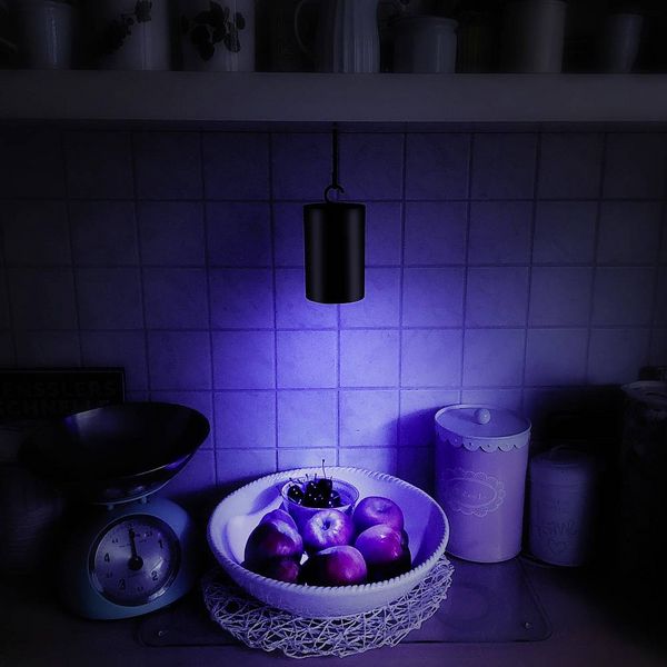 Produktbild: Gardigo 62420INT UV-Klebefalle Klebefolie, UV-Licht (&Oslash; x H) 8cm x 15cm Schwarz 1St.