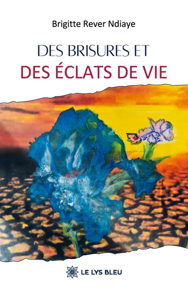 Produktbild: Des brisures et des &eacute;clats de vie