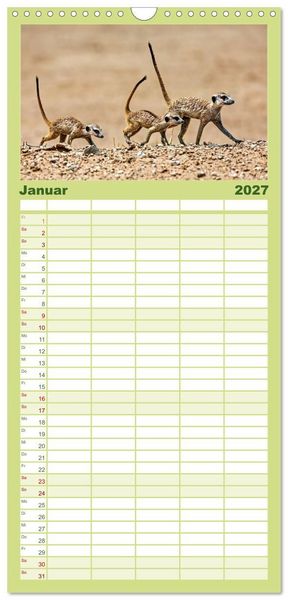 Produktbild: Familienplaner 2027 - Afrikas Tierwelt - Erdm&auml;nnchen mit 5 Spalten (Wandkalender, 21 x 45 cm) CALVENDO