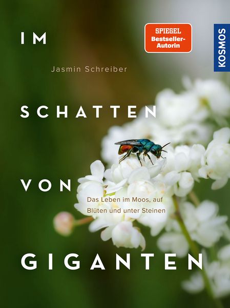 Produktbild: Im Schatten von Giganten