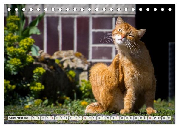 Produktbild: Heimatmomente - L&auml;ndliche Impressionen (Tischkalender 2027 DIN A5 quer), CALVENDO Monatskalender