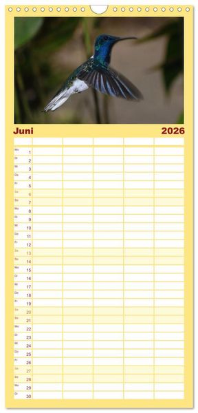 Produktbild: Familienplaner 2026 - Kolibris; Anmut, Sch&ouml;nheit, Farben mit 5 Spalten (Wandkalender, 21 x 45 cm) CALVENDO