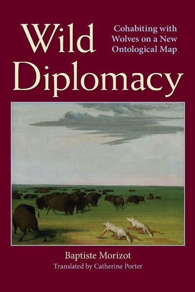 Produktbild: Wild Diplomacy