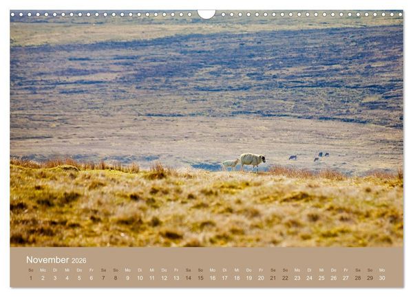Produktbild: Unter Schafen - Wegbegleiter auf Reisen (Wandkalender 2026 DIN A3 quer), CALVENDO Monatskalender