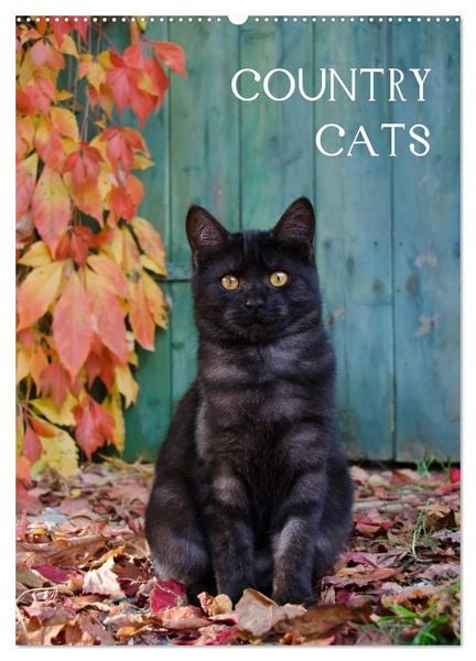 COUNTRY CATS (Wandkalender 2026 DIN A2 hoch), CALVENDO Monatskalender