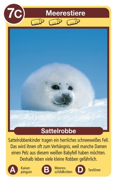 Tierquartett Tierkinder - Kartenspiel ab 4 Jahre