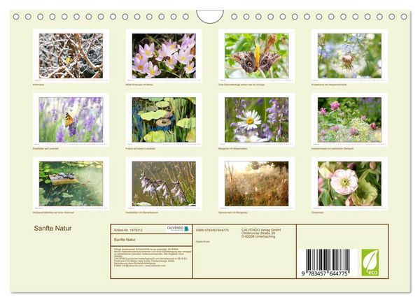 Produktbild: Sanfte Natur (Wandkalender 2026 DIN A4 quer), CALVENDO Monatskalender