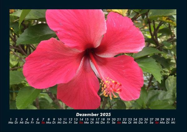 Produktbild: Fernweh 2025 Fotokalender DIN A4