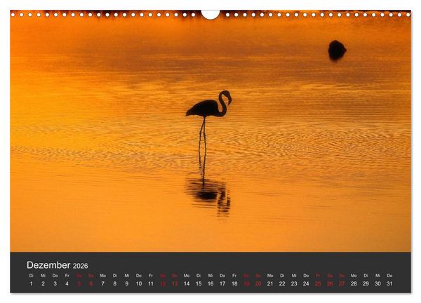 Produktbild: Pretty Flamingo (Wandkalender 2026 DIN A3 quer), CALVENDO Monatskalender