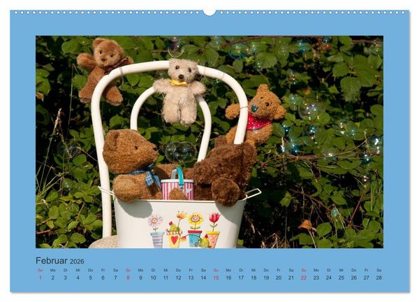 Produktbild: Teddys Meine Freunde (Wandkalender 2026 DIN A2 quer), CALVENDO Monatskalender