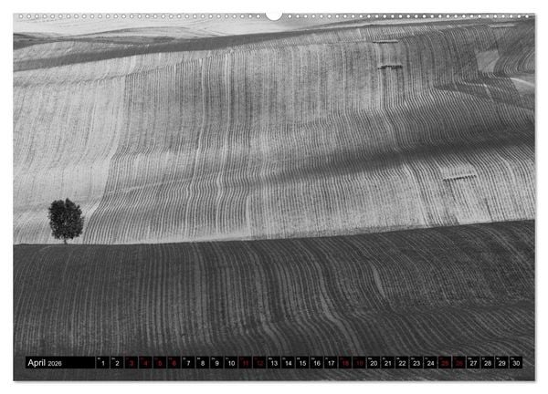 Produktbild: Toscana - monocromatico (hochwertiger Premium Wandkalender 2026 DIN A2 quer), Kunstdruck in Hochglanz
