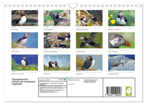 Produktbild: Papageitaucher - Clowns der nordischen Vogelwelt (Wandkalender 2026 DIN A4 quer), CALVENDO Monatskalender