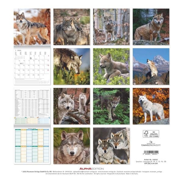 Produktbild: Wölfe 2026 - Broschürenkalender 30x30 cm (30x60 geöffnet) - Kalender mit Platz für Notizen - Wolves - Bildkalender - Wandplaner - Alpha Edition