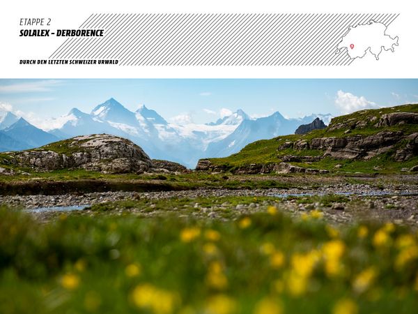 Produktbild: Trekking in den Schweizer Alpen