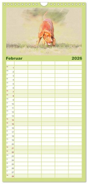 Produktbild: Familienplaner 2026 - Magyar Vizsla 2026 mit 5 Spalten (Wandkalender, 21 x 45 cm) CALVENDO