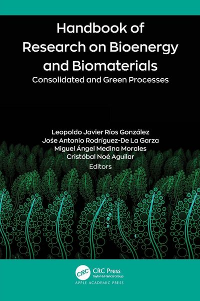 Produktbild: Handbook of Research on Bioenergy and Biomaterials