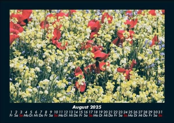 Produktbild: Blumentr&auml;ume 2025 Fotokalender DIN A5