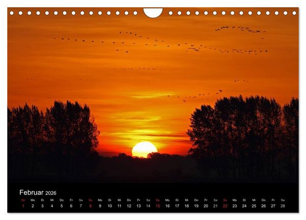 Produktbild: Kranich-Land Brandenburg (Wandkalender 2026 DIN A4 quer), CALVENDO Monatskalender