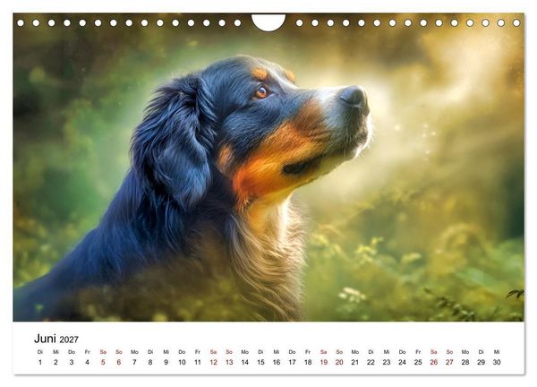 Produktbild: Stolz und Sanftmut - Berner Sennenhunde (Wandkalender 2027 DIN A4 quer), CALVENDO Monatskalender