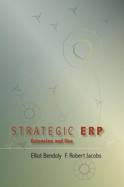 Produktbild: Strategic Erp Extension and Use
