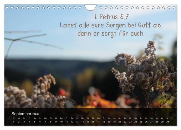 Produktbild: Sch&ouml;pfung im Licht (Wandkalender 2026 DIN A4 quer), CALVENDO Monatskalender
