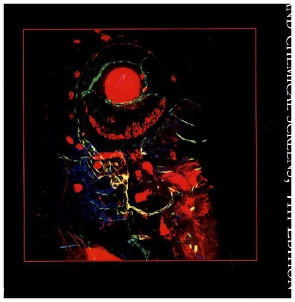 Produktbild: Methods in Cell Biology V138