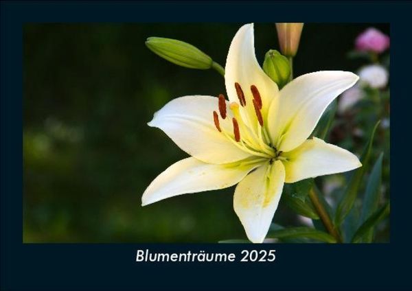 Produktbild: Blumentr&auml;ume 2025 Fotokalender DIN A5