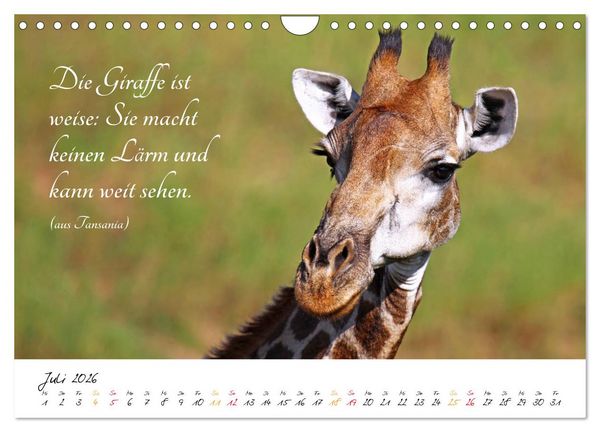 Produktbild: AFRIKA - Kontinent der Poesie (Wandkalender 2026 DIN A4 quer), CALVENDO Monatskalender